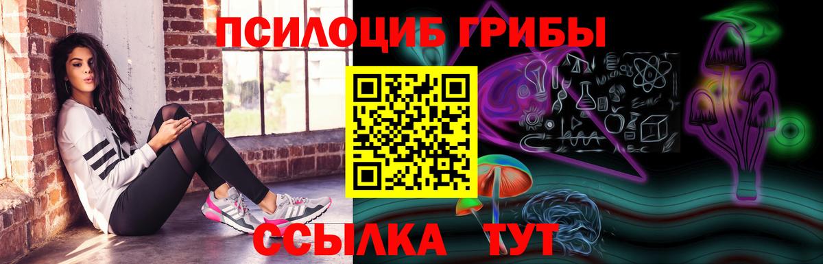 Галлюциногенные грибы Magic Shrooms Черногорск