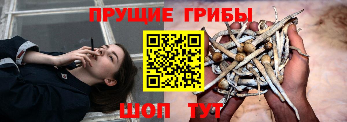 Черногорск  где продают наркотики  Вход с VPN  Галлюциногенные грибы мухоморы 